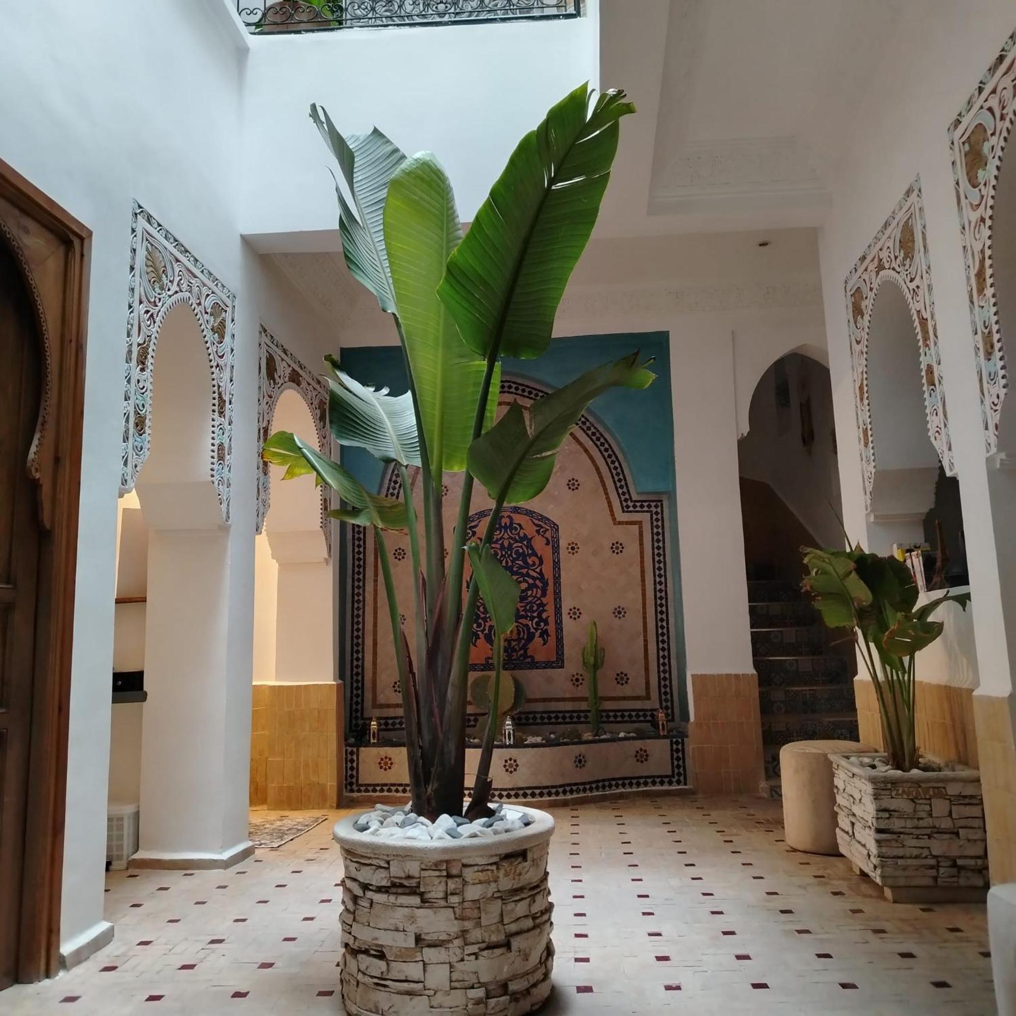 Riad & Spa Sous Le Soleil Chez Jerome Et Pamela Ch Marrakchi Marrakesh Buitenkant foto